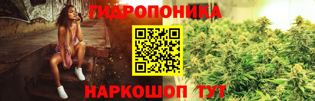 Бошки Шишки White Widow  Канабис сатива  Железногорск  Вход с VPN  Конопля планчик 